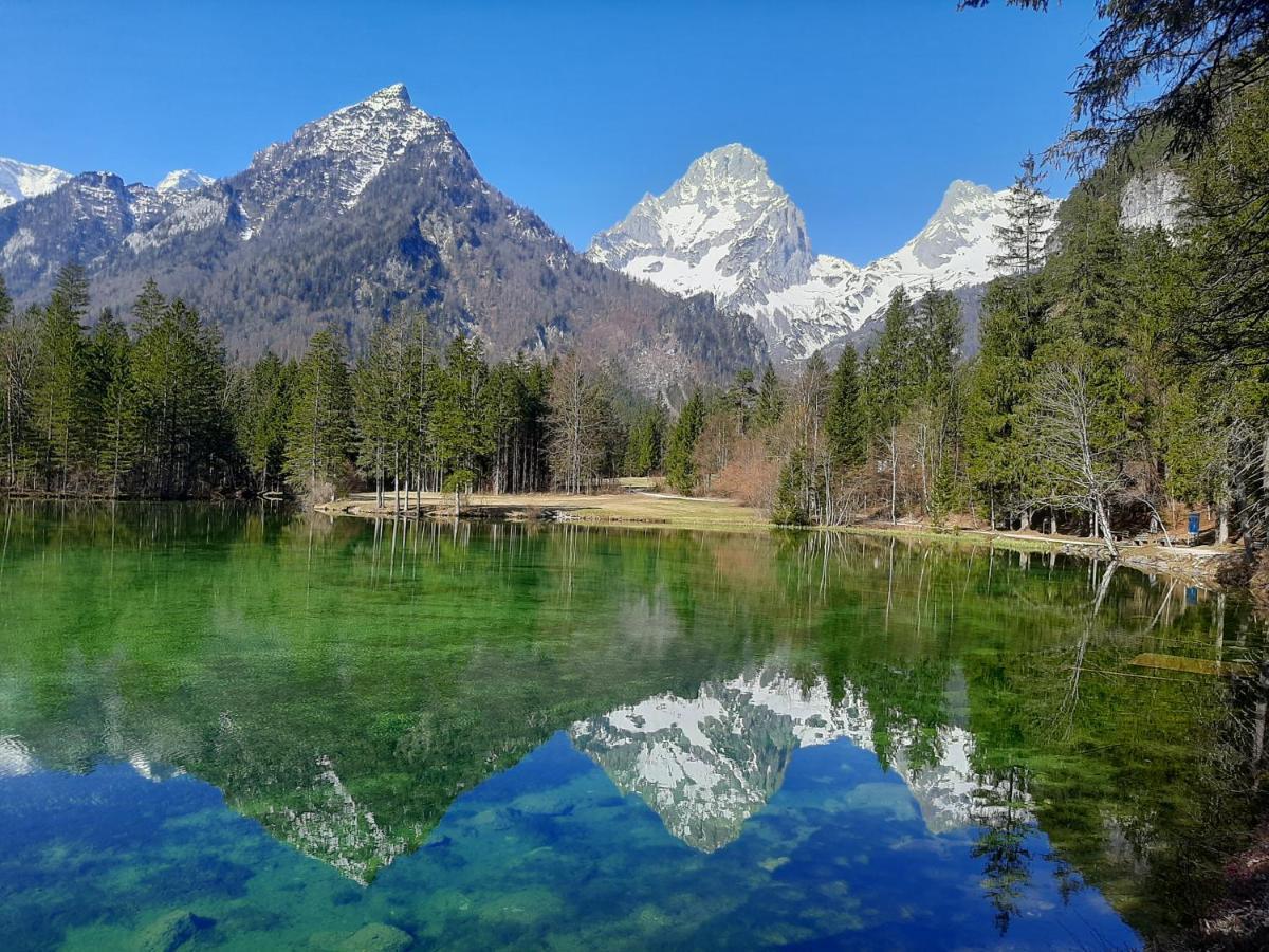 Вилла Haasenhaus Хинтерстодер Экстерьер фото